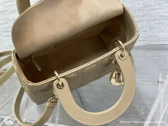 Tony Luxuries Lady diro Gold large Calfskin-24cm 0629